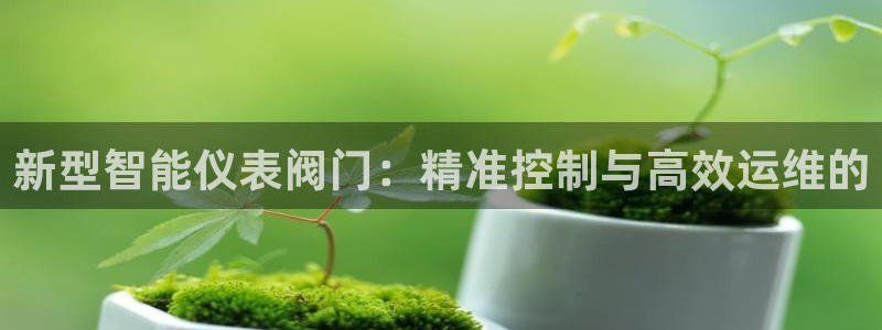 新宝gg正规
