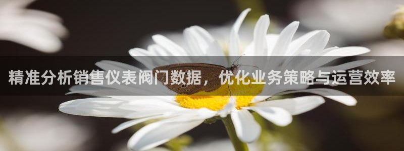 新宝gg 奇迹