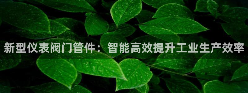 新宝gg怎样代理