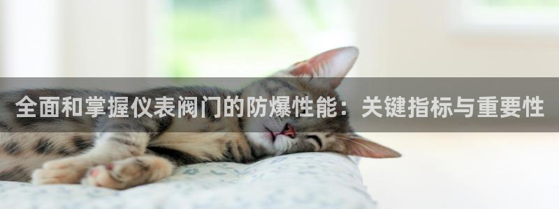 新宝一GG