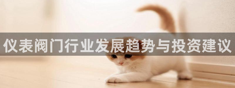 新宝gg 主管