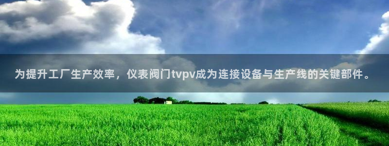 新宝gg 平台怎么样