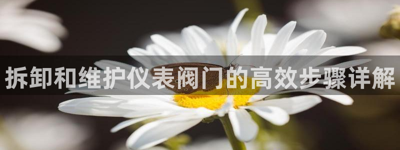 新宝gg平台反水