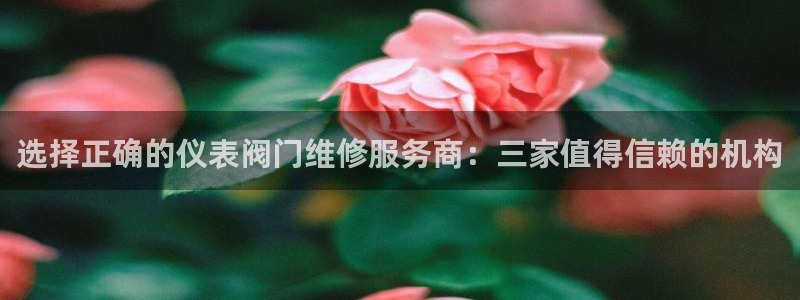新宝gg如何代理