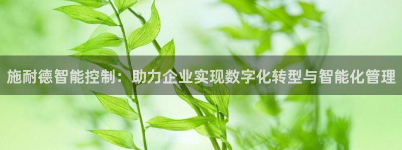 新宝gg地址新宝二