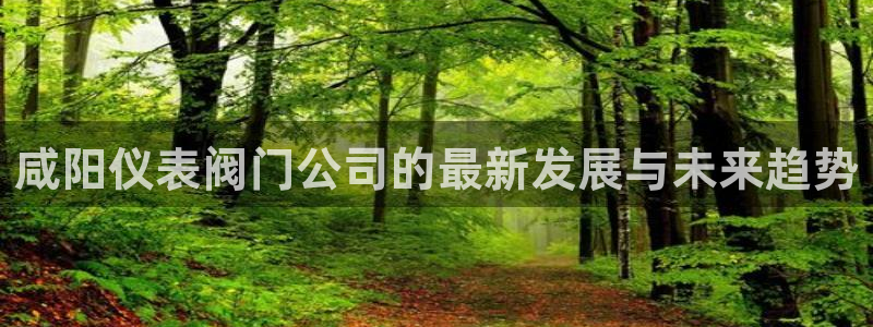 怎么下载新宝gg