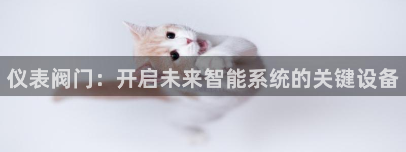 新宝gg作弊