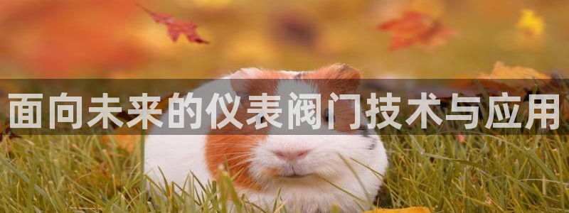 新宝_gg