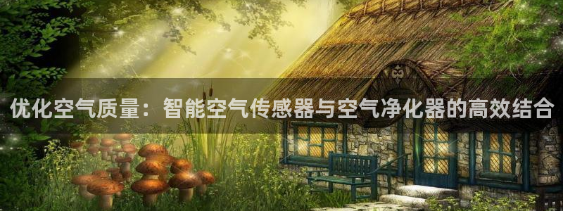 新宝gg官方下载