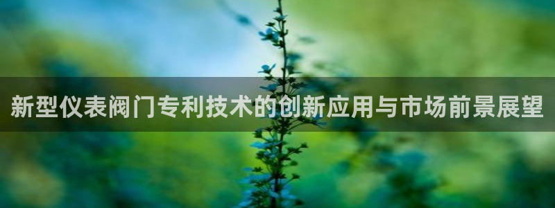 新宝gg怎么开户