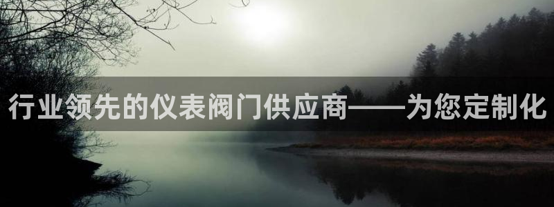 新宝gg维护