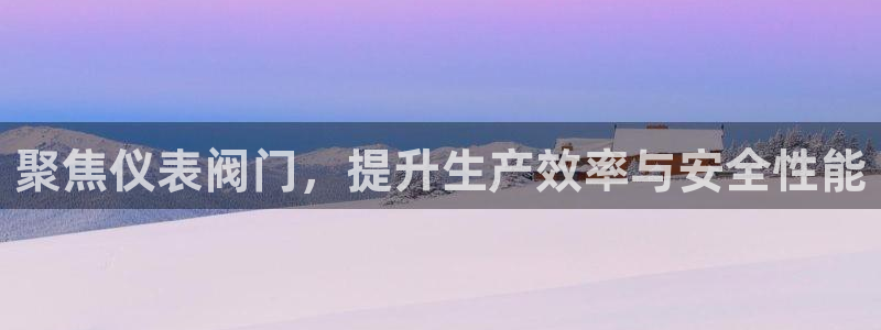 正版新宝gg