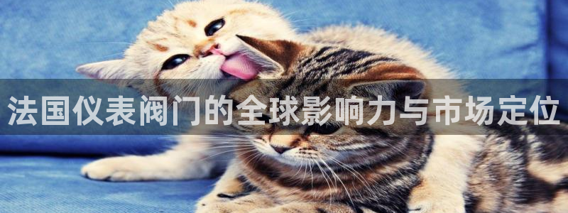 新宝gg佣金