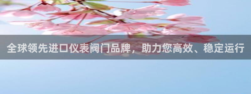 新宝gg娱乐盟主