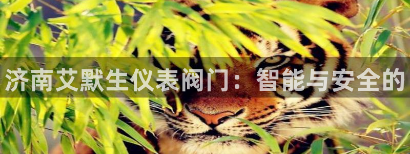 新宝gg手机