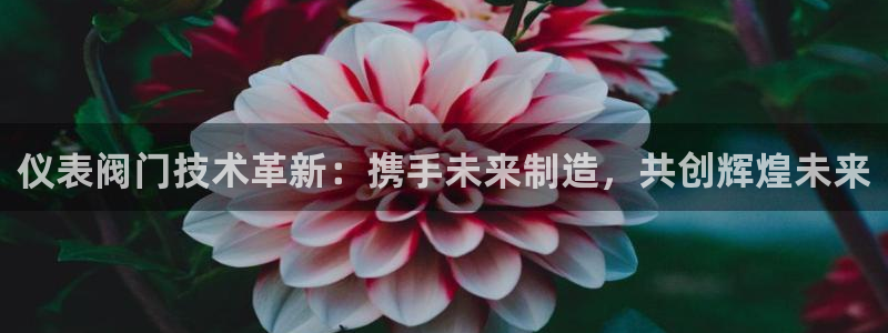 新宝gg.