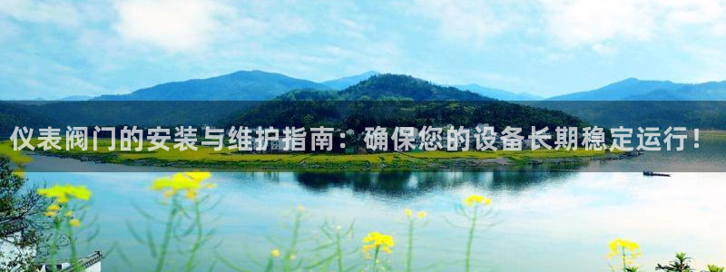 新宝gg公司