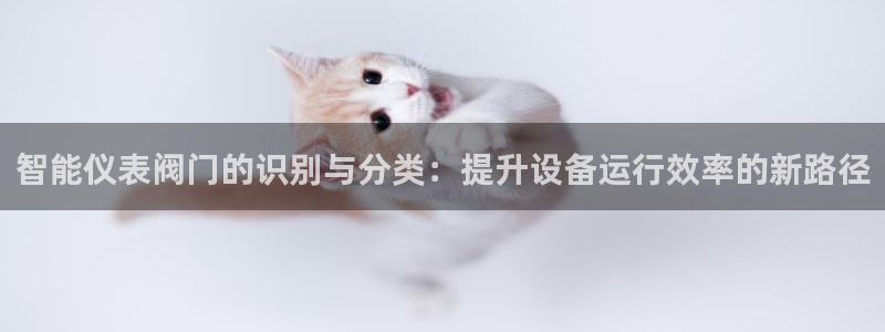 新宝gg登陆