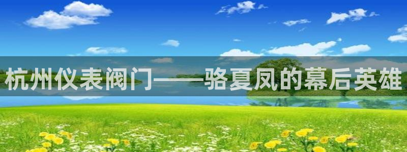 广东新宝电器gg