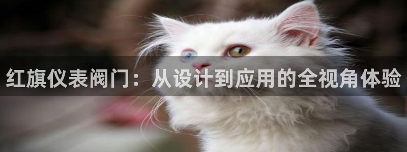 新宝gg违法