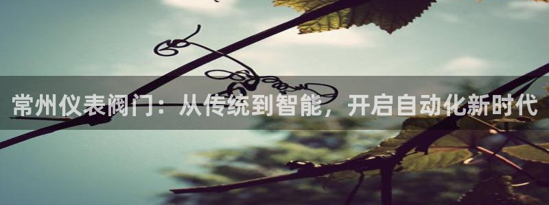 新宝gg是新宝几