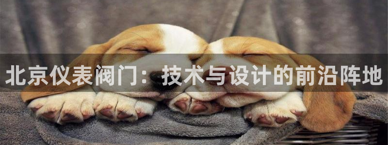 新宝Gg测速地址