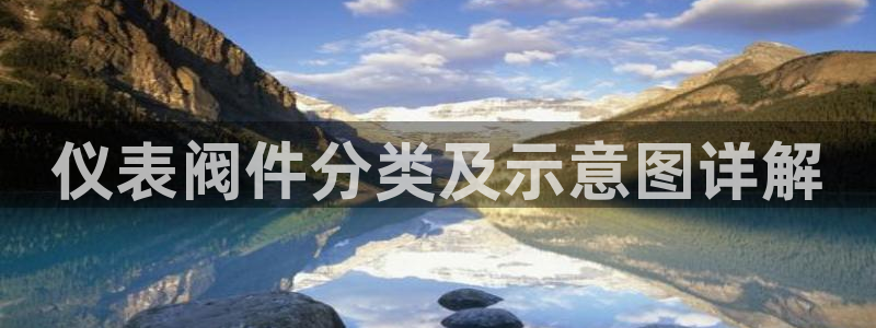 新宝gg入口网址