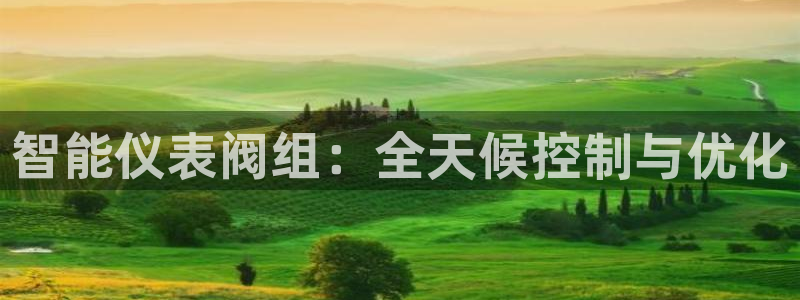 新宝gg最新章节